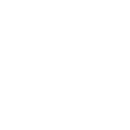 globe icon white