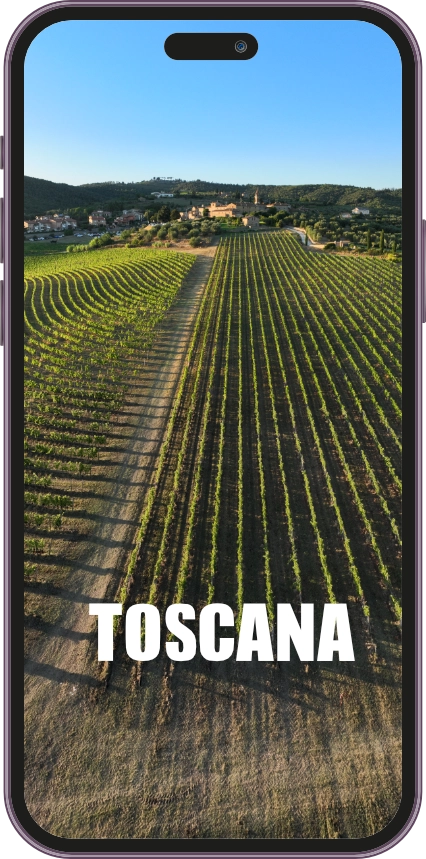 Tuscany Panorama